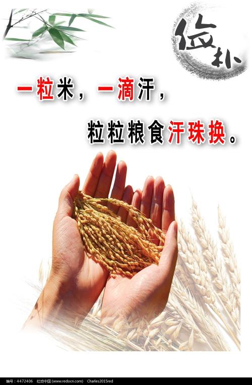 巴宝莉的衬衫水洗洗废了
